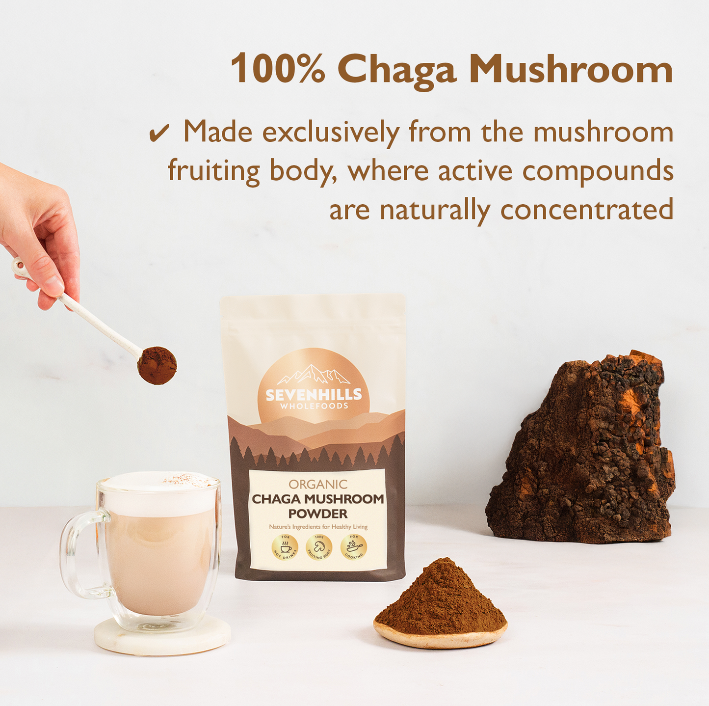 Organic Chaga Mushroom Powder